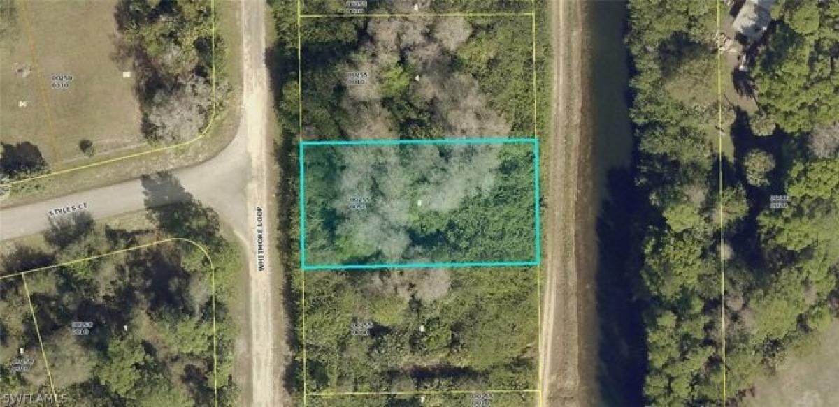 Picture of Residential Land For Sale in Lehigh Acres, Florida, United States