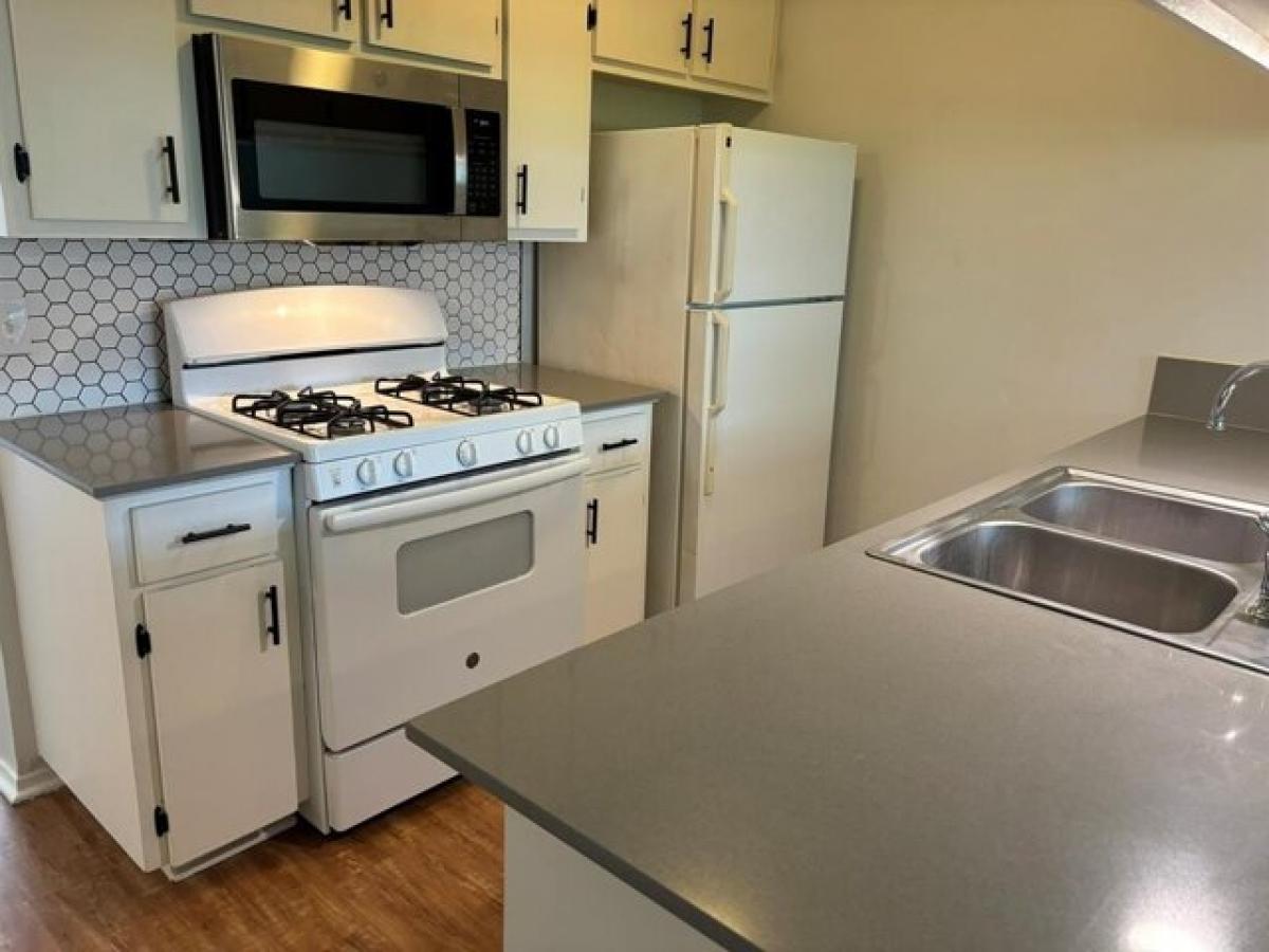 Picture of Home For Rent in San Marcos, Texas, United States