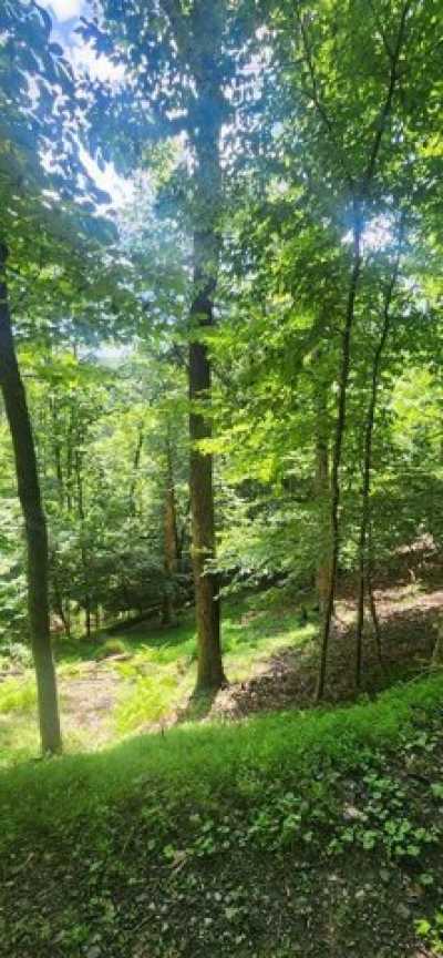 Residential Land For Sale in Ellijay, Georgia