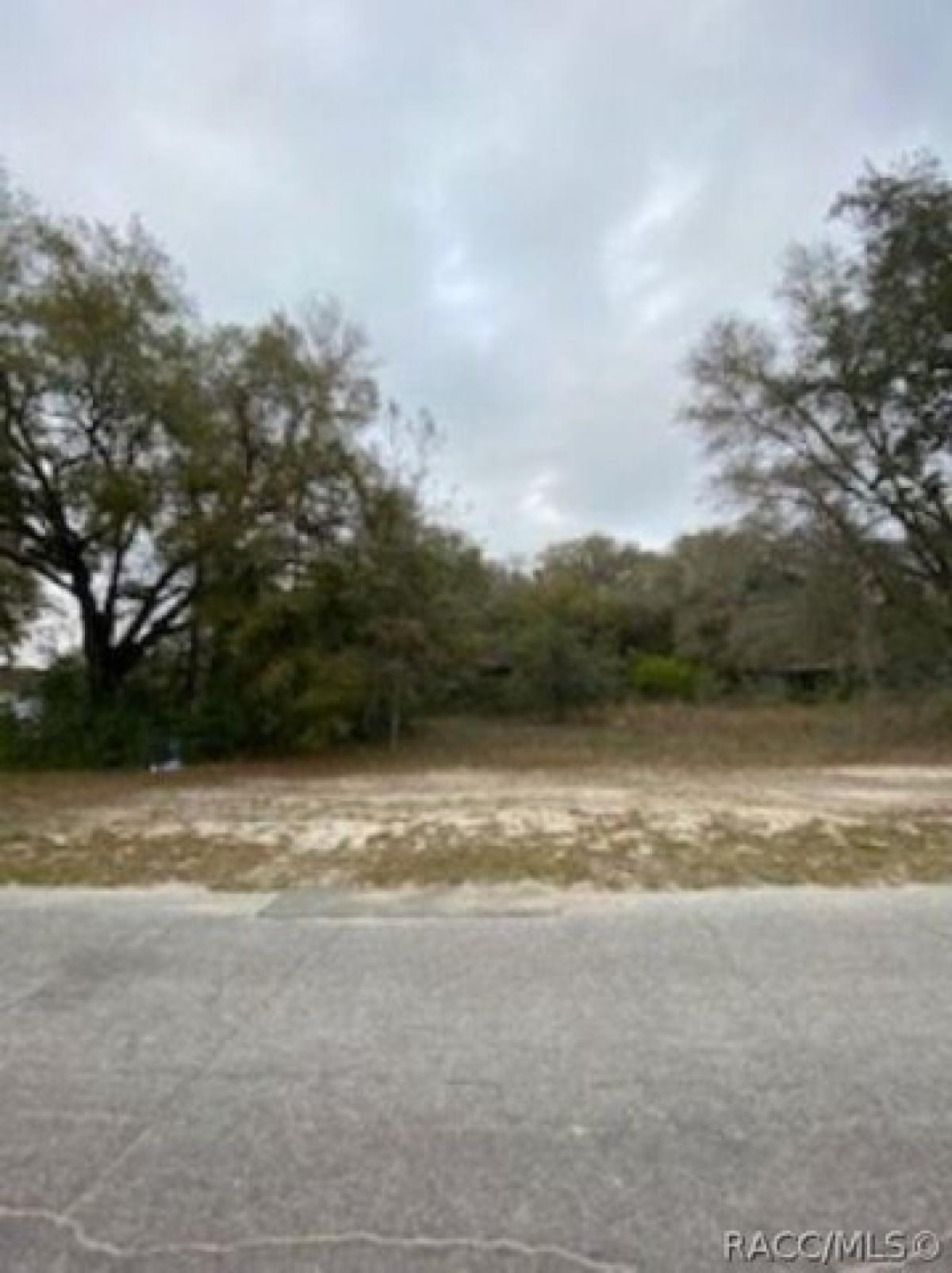 Picture of Residential Land For Sale in Inverness, Florida, United States