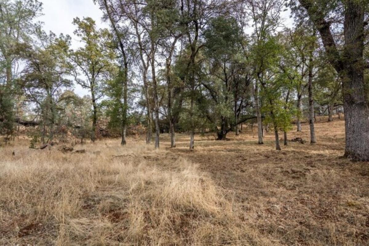 Picture of Residential Land For Sale in Auburn, California, United States