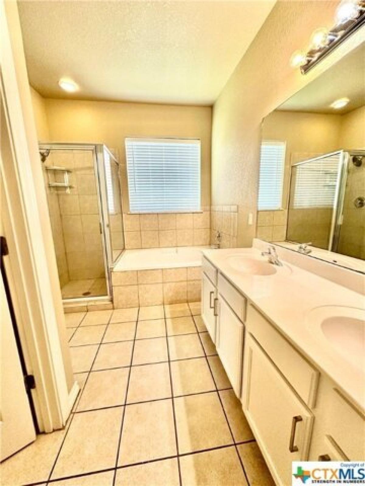 Picture of Home For Rent in New Braunfels, Texas, United States