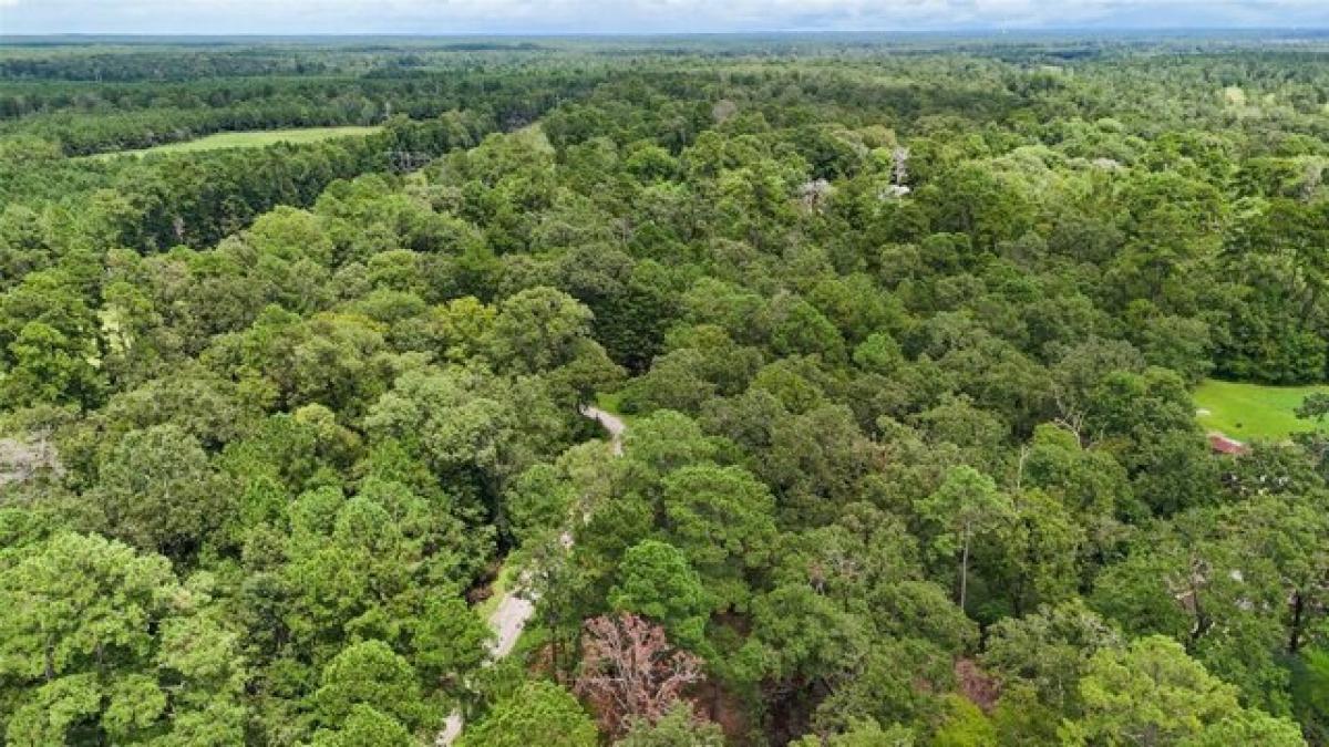 Picture of Residential Land For Sale in Trinity, Texas, United States