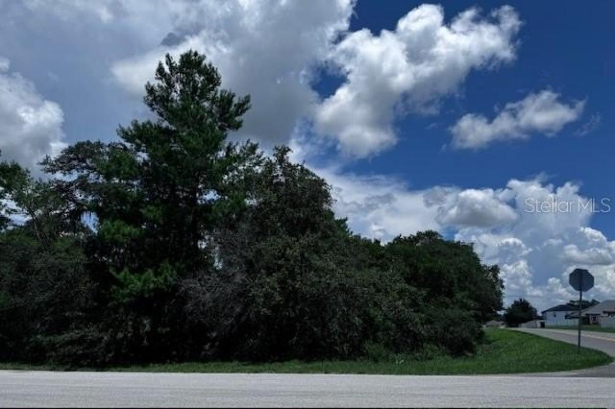 Picture of Residential Land For Sale in Ocala, Florida, United States