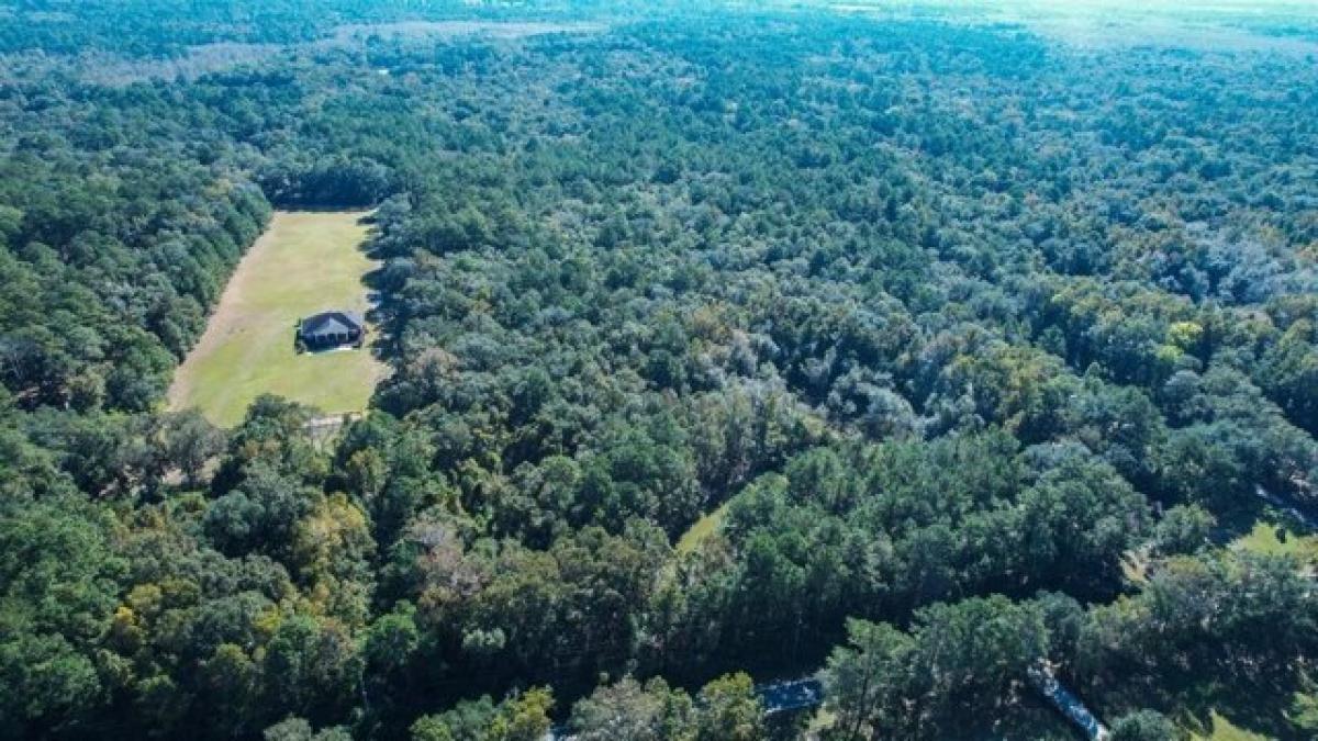 Picture of Residential Land For Sale in Tallahassee, Florida, United States
