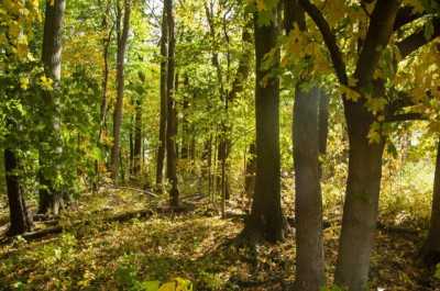 Residential Land For Sale in 