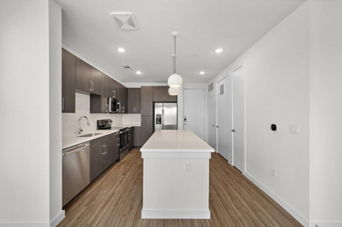 Picture of Apartment For Rent in Houston, Texas, United States