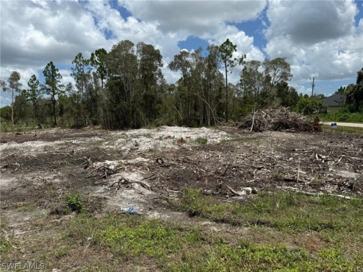 Picture of Residential Land For Sale in Lehigh Acres, Florida, United States