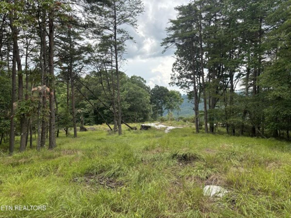 Picture of Residential Land For Sale in Monterey, Tennessee, United States