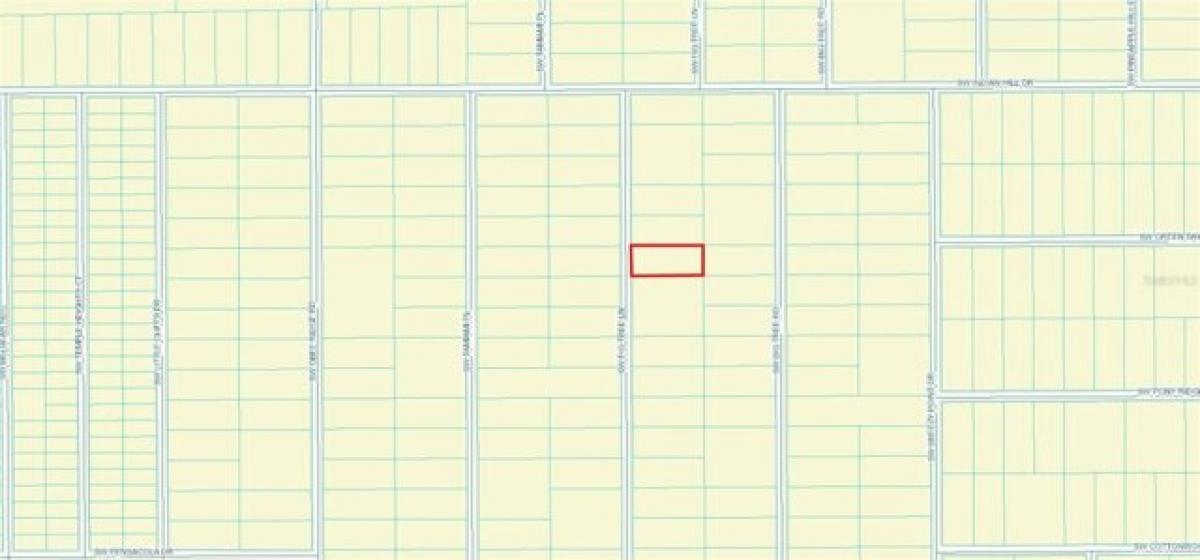 Picture of Residential Land For Sale in Dunnellon, Florida, United States