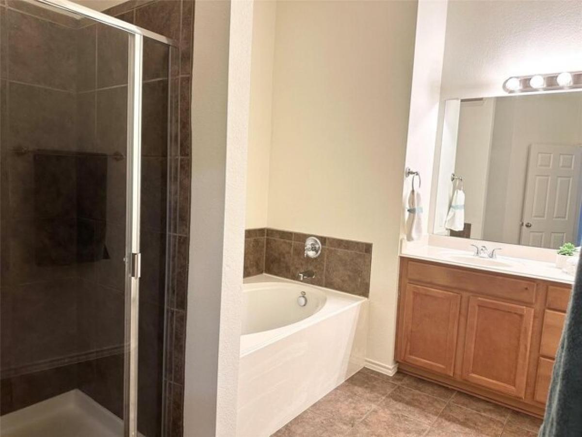 Picture of Home For Rent in Frisco, Texas, United States