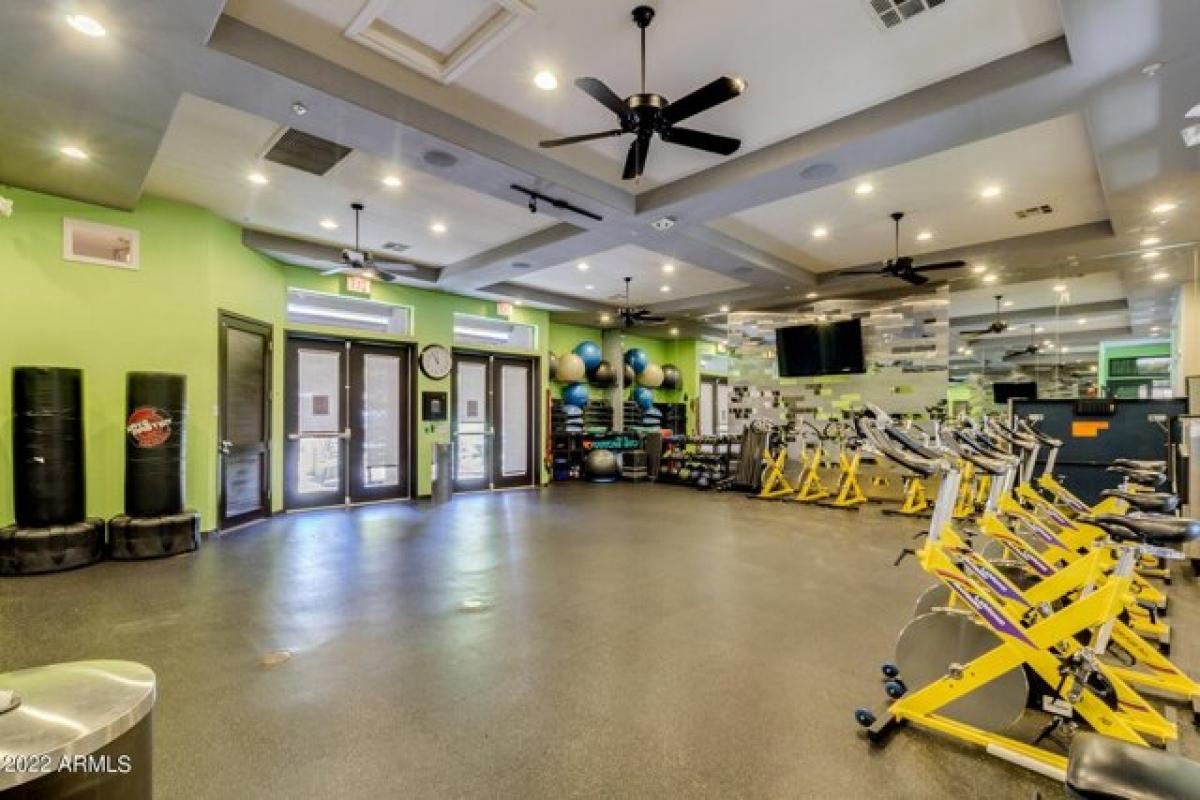 Picture of Apartment For Rent in Scottsdale, Arizona, United States