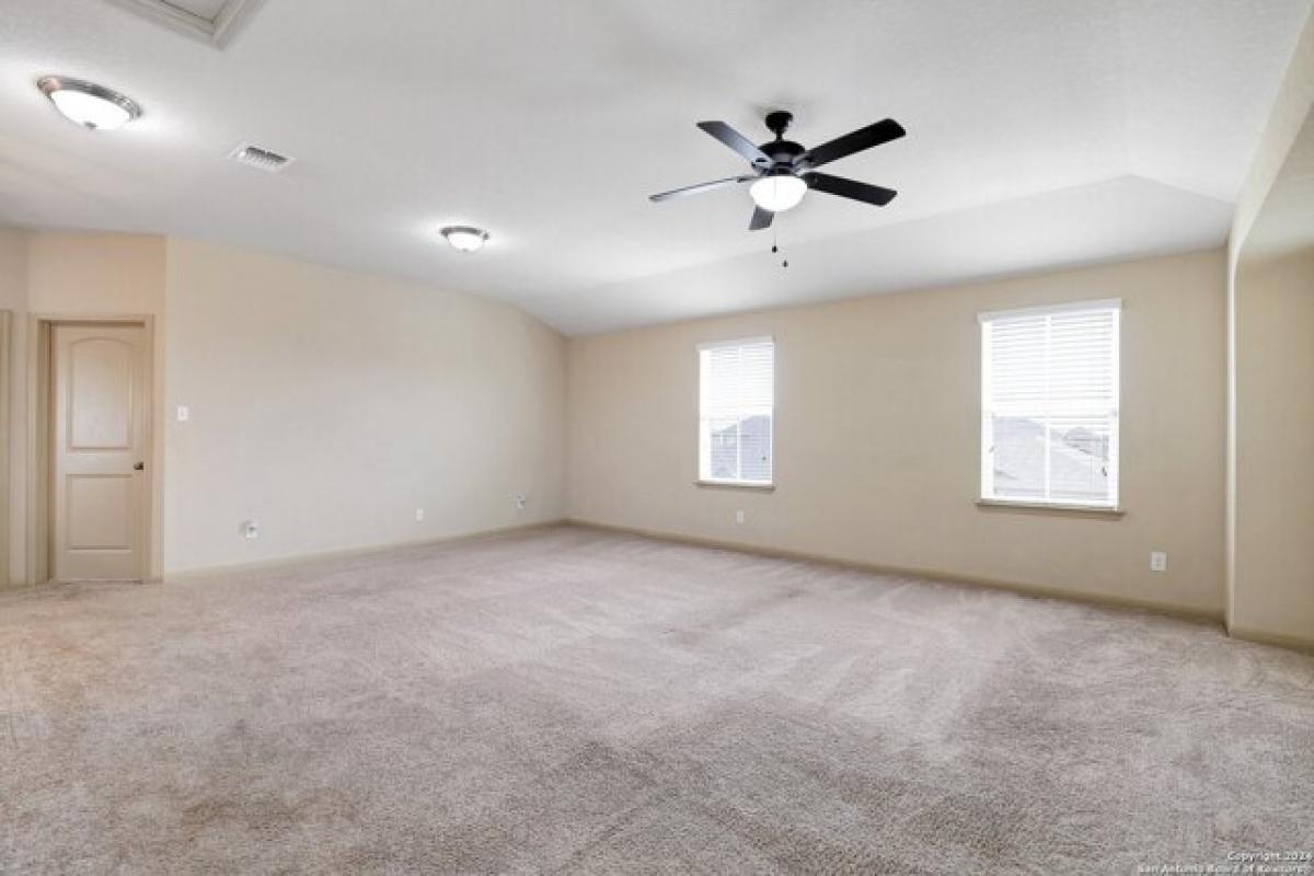 Picture of Home For Rent in New Braunfels, Texas, United States