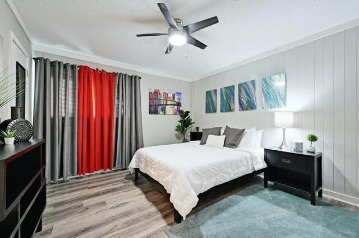 Picture of Apartment For Rent in Austin, Texas, United States