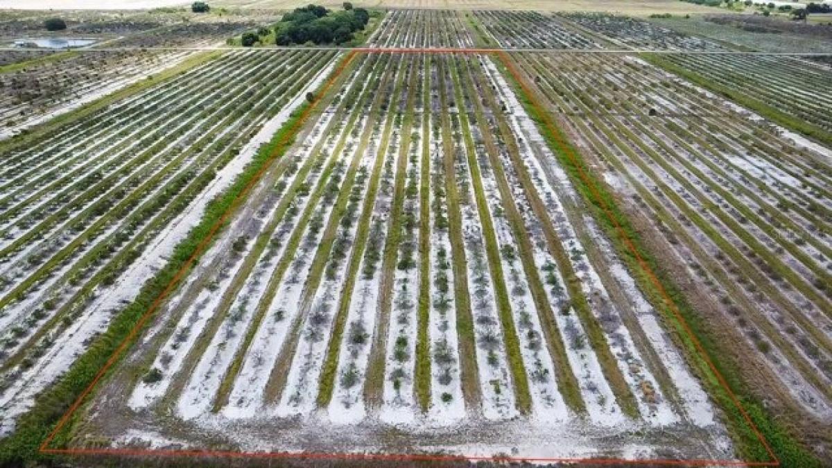 Picture of Residential Land For Sale in Punta Gorda, Florida, United States