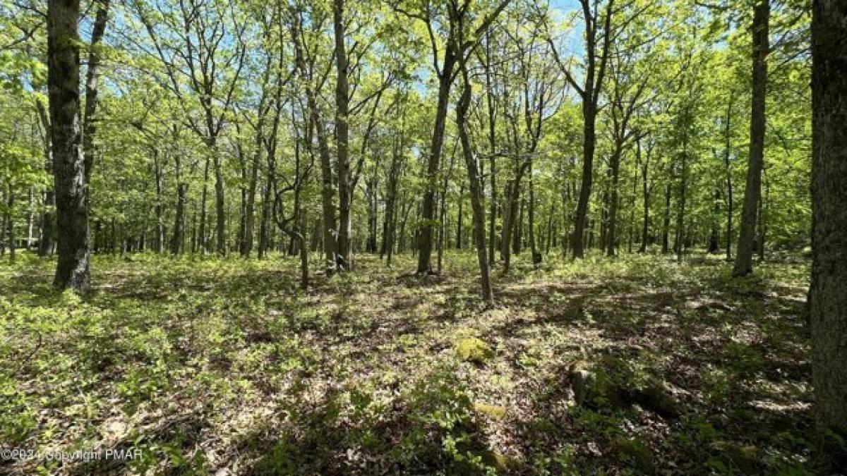 Picture of Residential Land For Rent in Bushkill, Pennsylvania, United States
