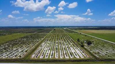 Residential Land For Sale in Punta Gorda, Florida