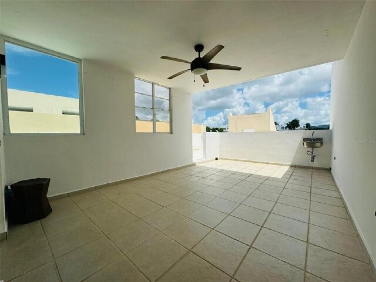 Picture of Apartment For Rent in San Juan, Texas, United States