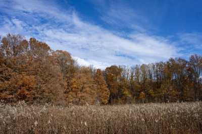 Home For Sale in La Porte, Indiana