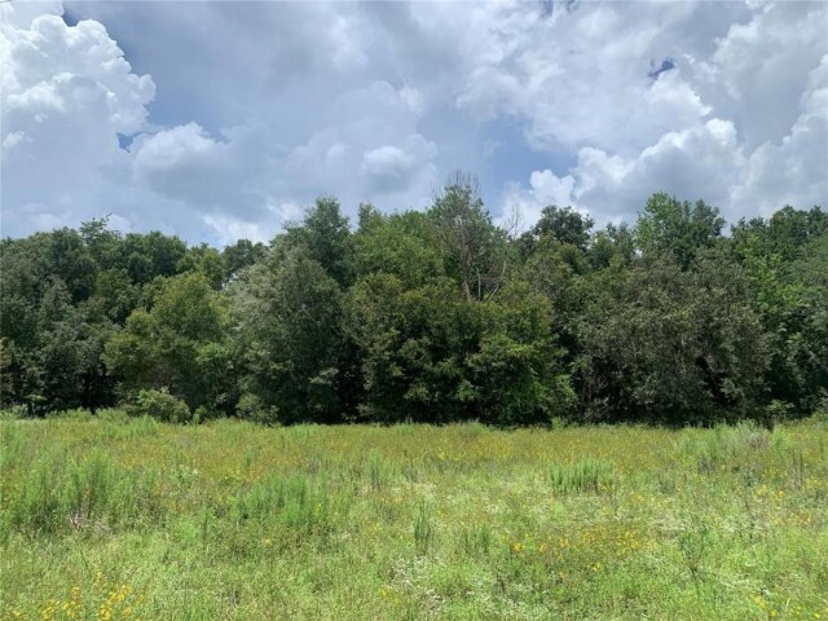 Picture of Residential Land For Sale in Dunnellon, Florida, United States