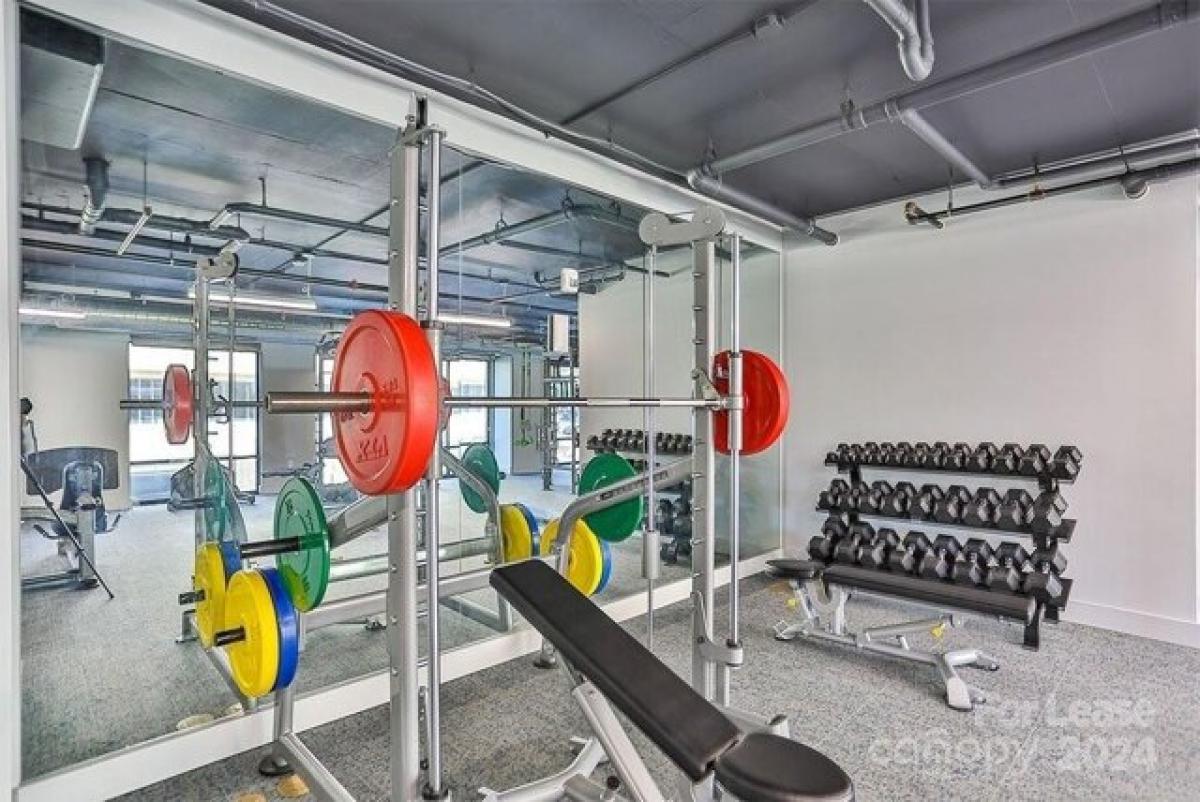 Picture of Apartment For Rent in Charlotte, North Carolina, United States