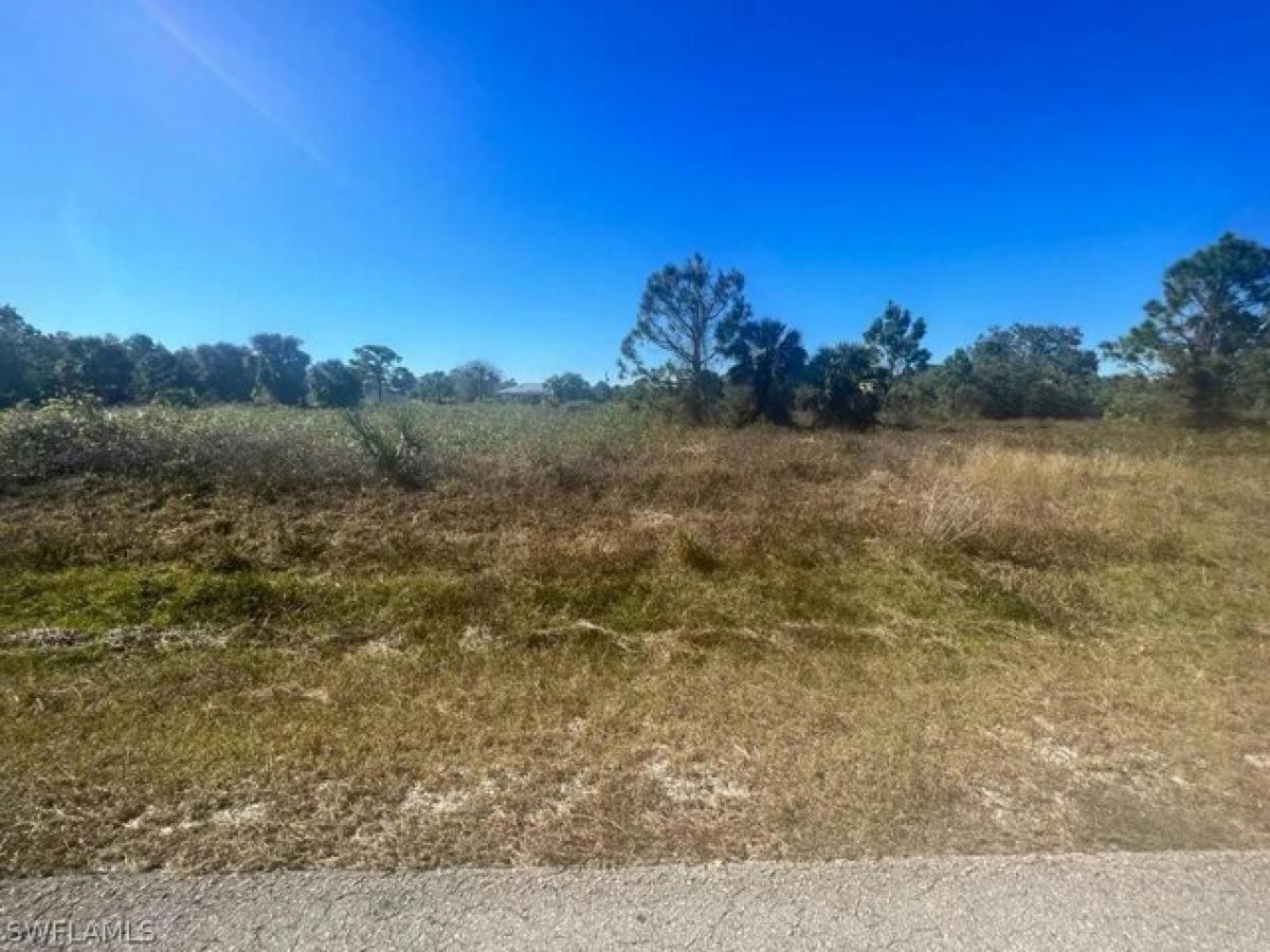 Picture of Residential Land For Sale in Lehigh Acres, Florida, United States