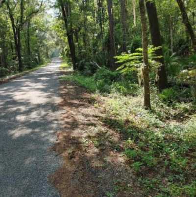 Residential Land For Sale in Micanopy, Florida