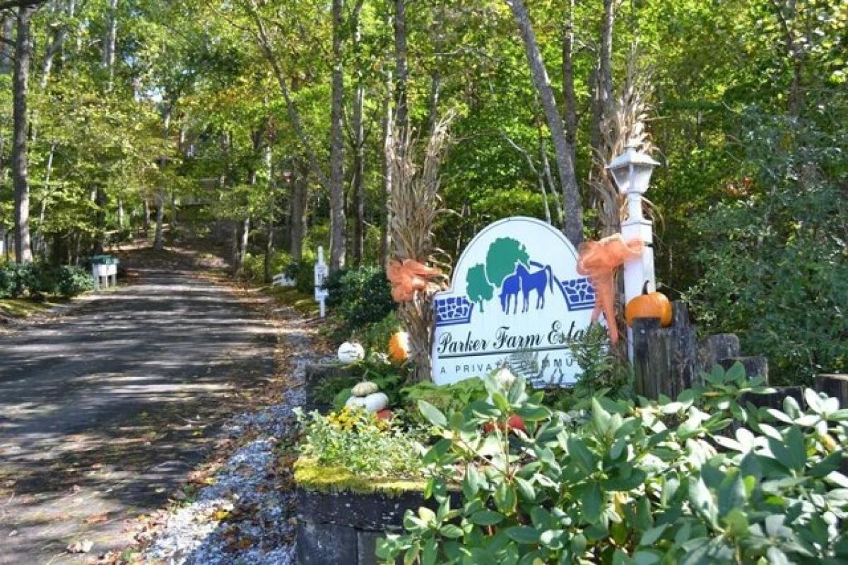 Picture of Residential Land For Sale in Franklin, North Carolina, United States