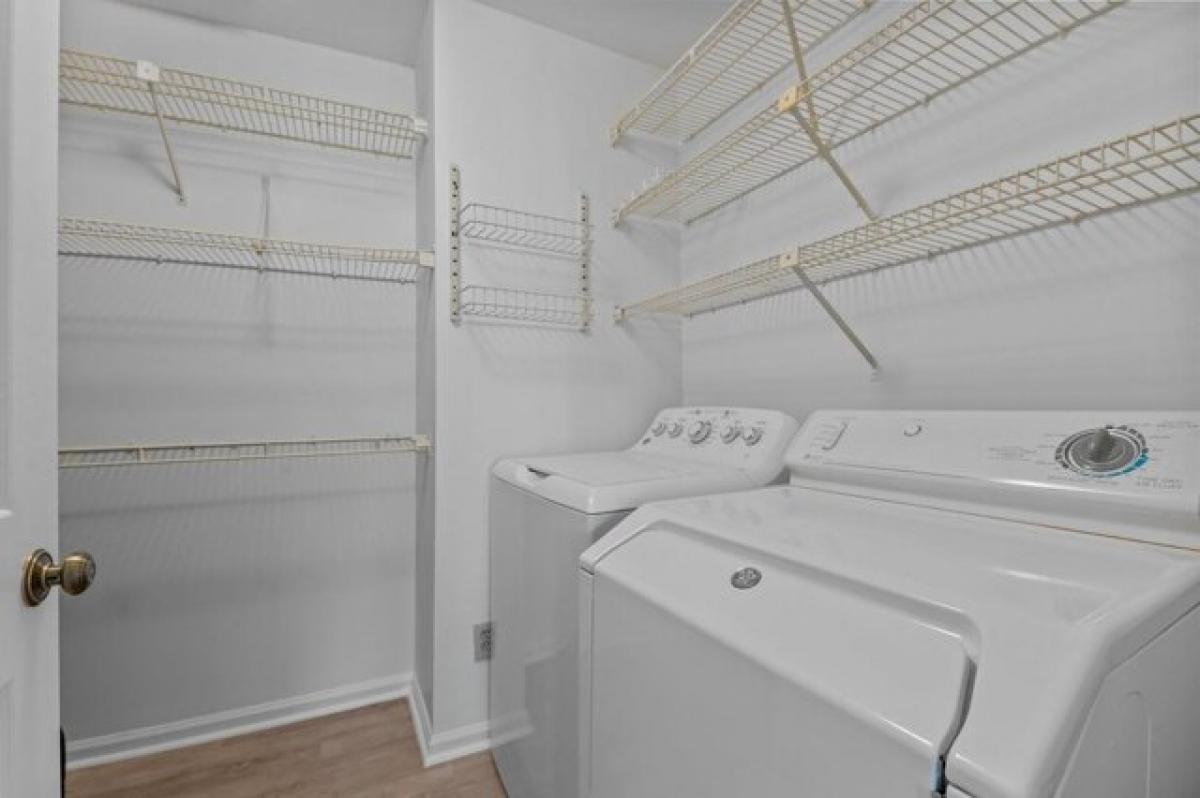 Picture of Home For Rent in Raleigh, North Carolina, United States