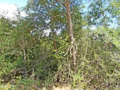 Residential Land For Sale in Alford, Florida