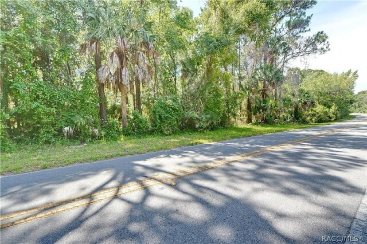 Picture of Residential Land For Sale in Crystal River, Florida, United States
