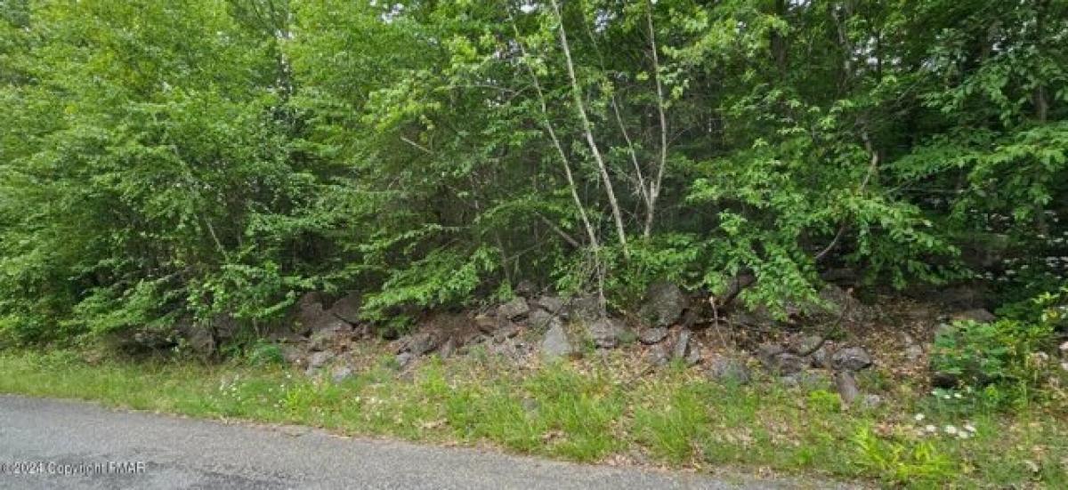 Picture of Residential Land For Rent in Jim Thorpe, Pennsylvania, United States