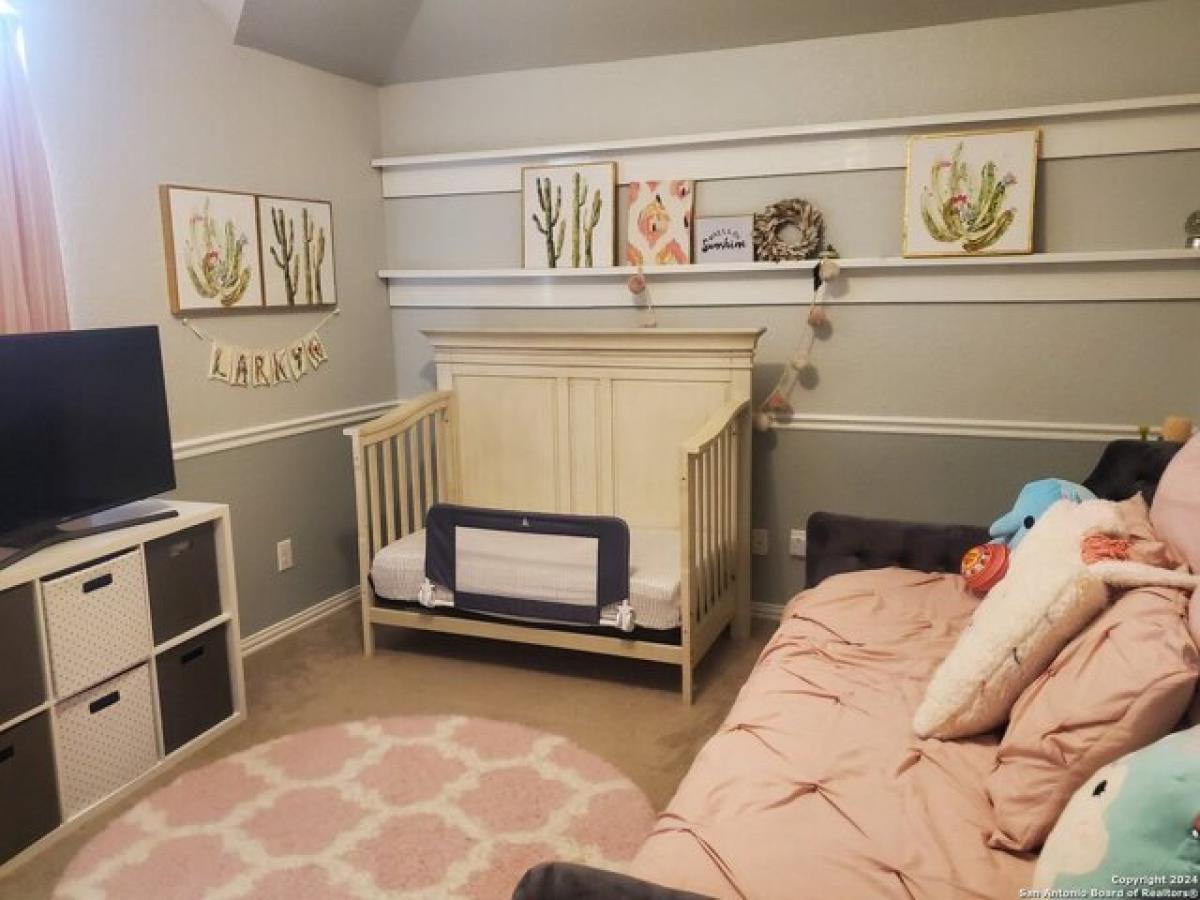 Picture of Home For Rent in San Antonio, Texas, United States