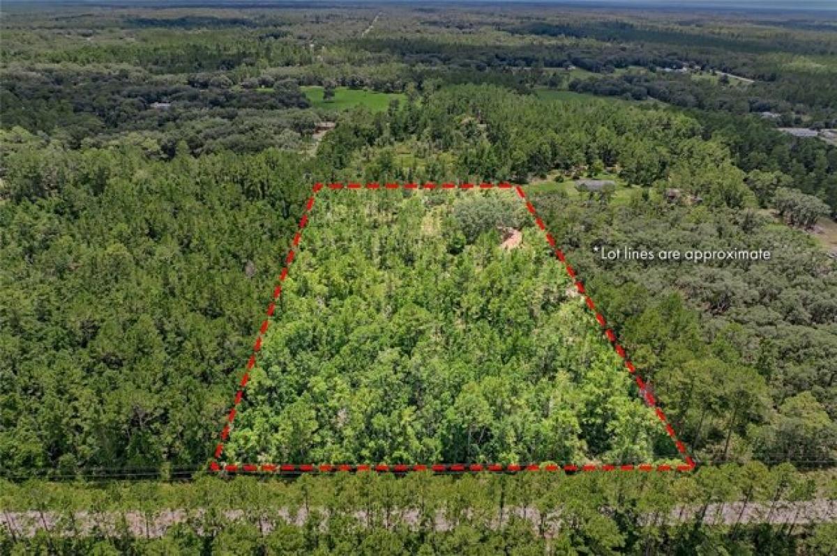 Picture of Residential Land For Sale in Palatka, Florida, United States