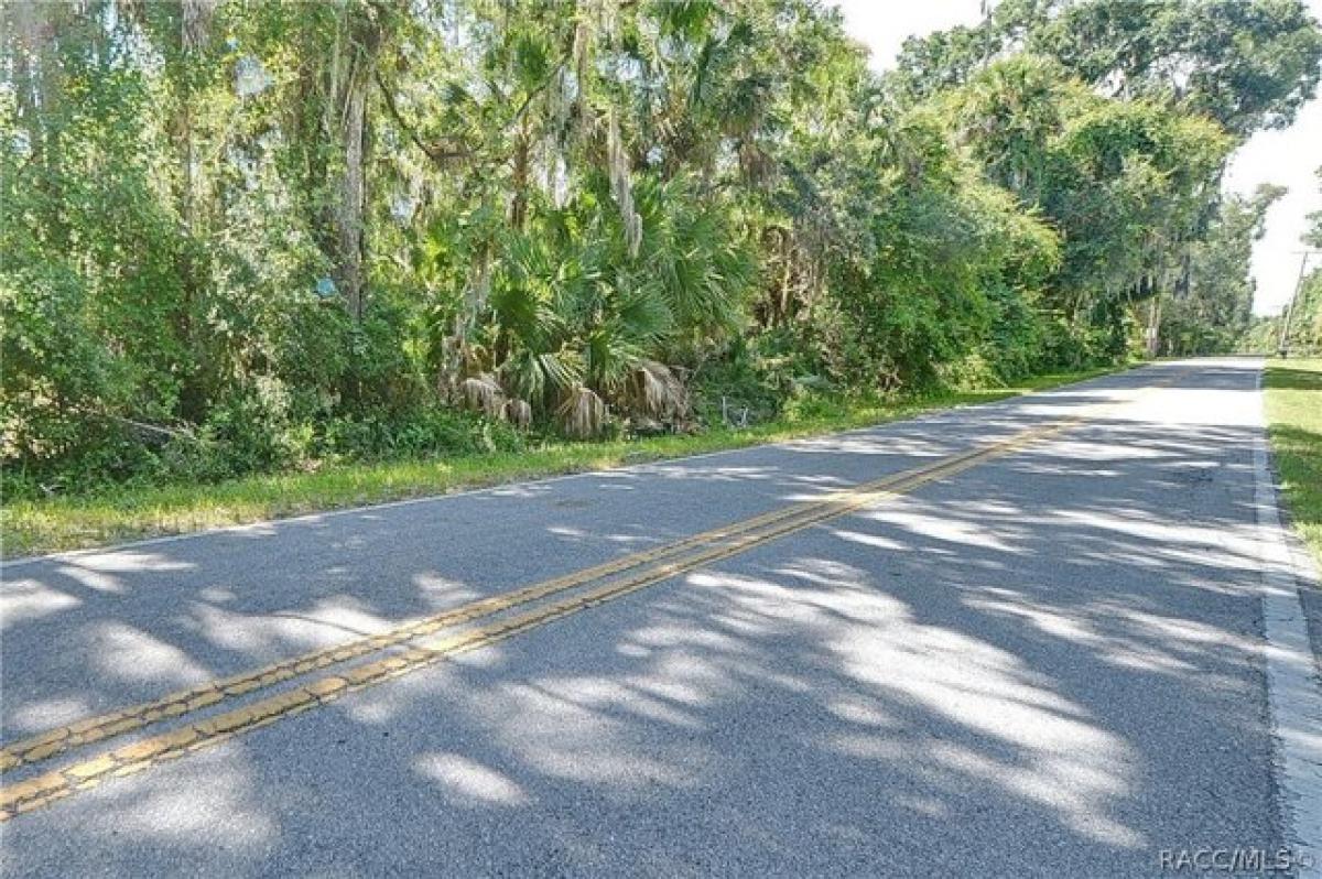 Picture of Residential Land For Sale in Crystal River, Florida, United States