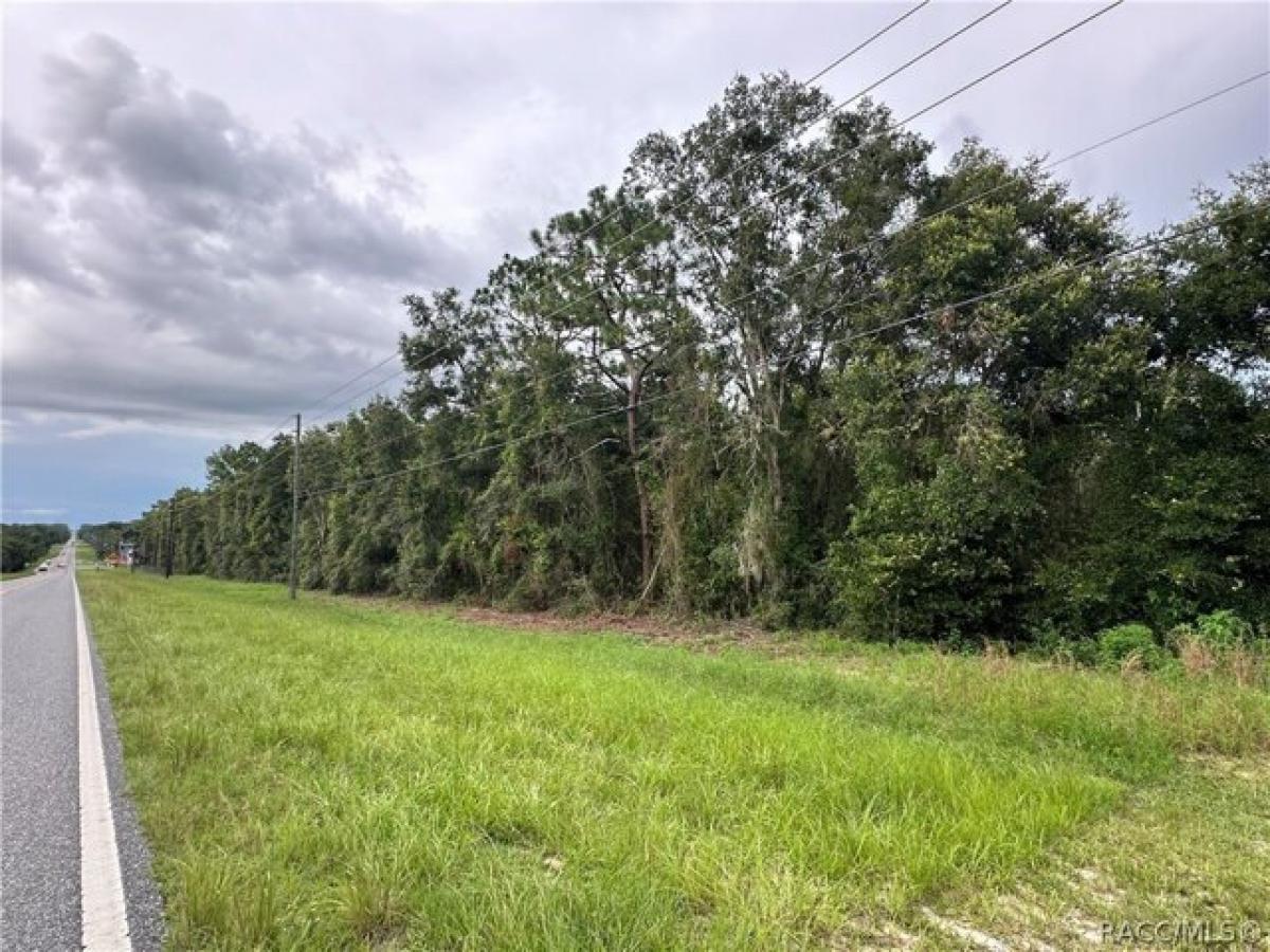 Picture of Residential Land For Sale in Inverness, Florida, United States
