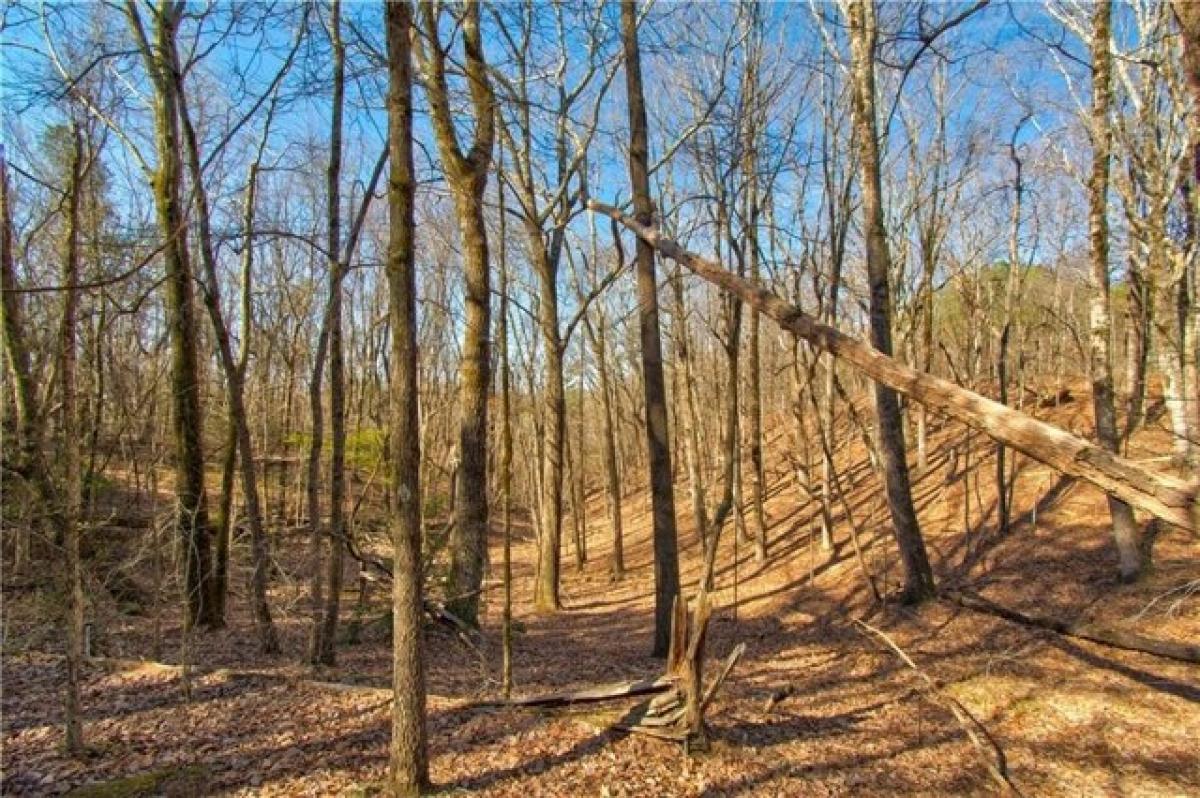 Picture of Residential Land For Sale in Dahlonega, Georgia, United States