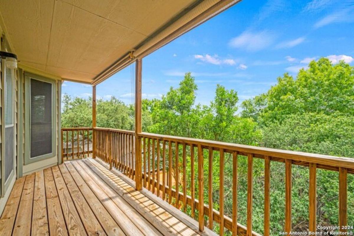 Picture of Home For Rent in San Antonio, Texas, United States