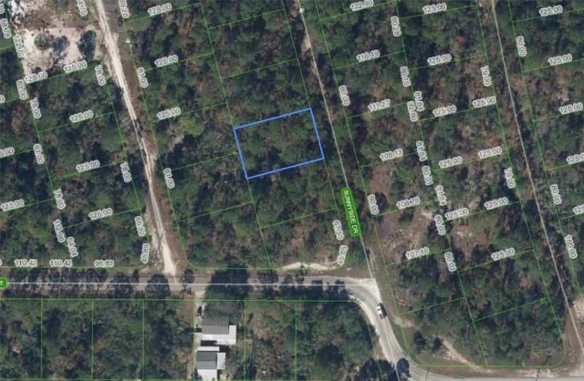 Picture of Residential Land For Sale in Lake Placid, Florida, United States