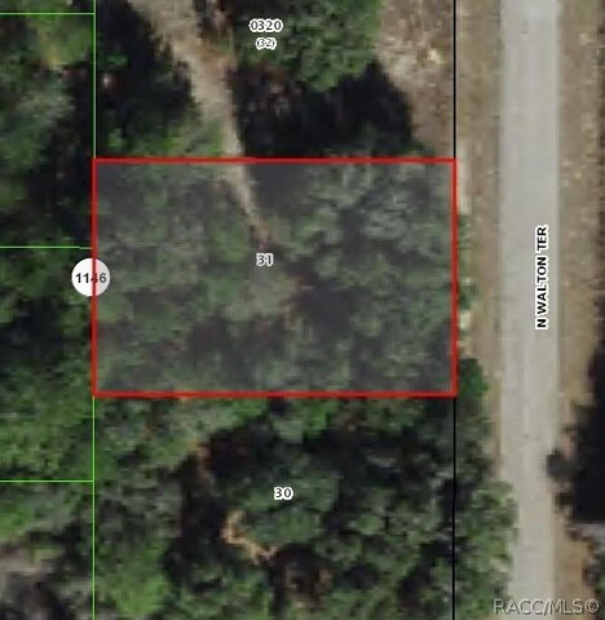 Picture of Residential Land For Sale in Dunnellon, Florida, United States