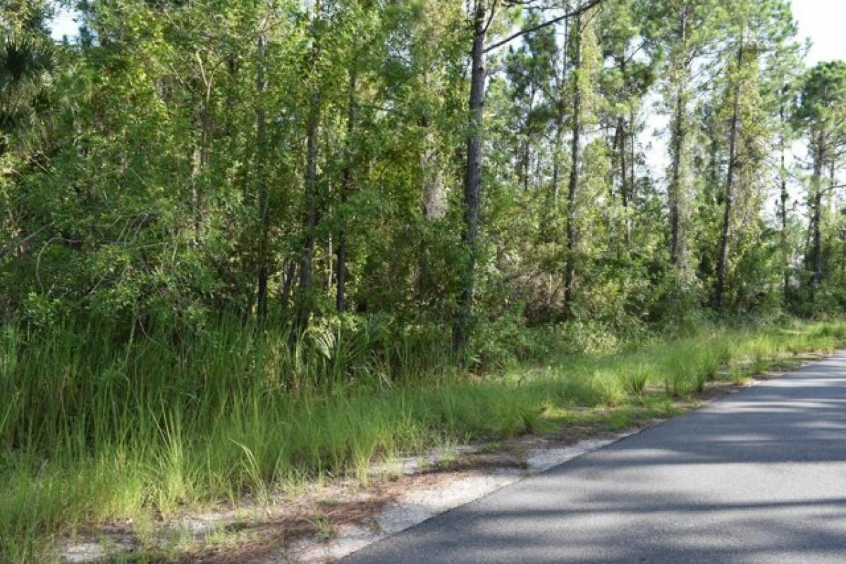 Picture of Residential Land For Sale in Palm Bay, Florida, United States