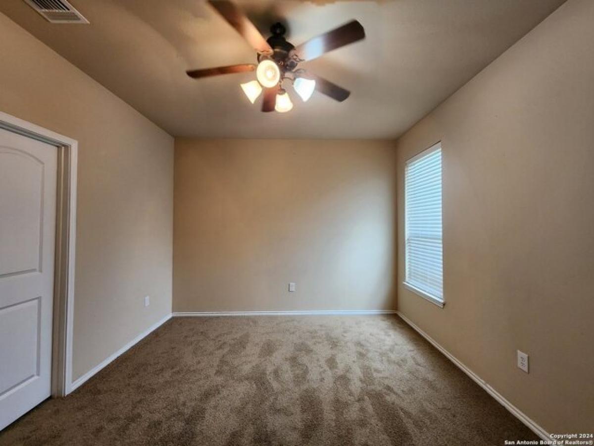 Picture of Home For Rent in New Braunfels, Texas, United States