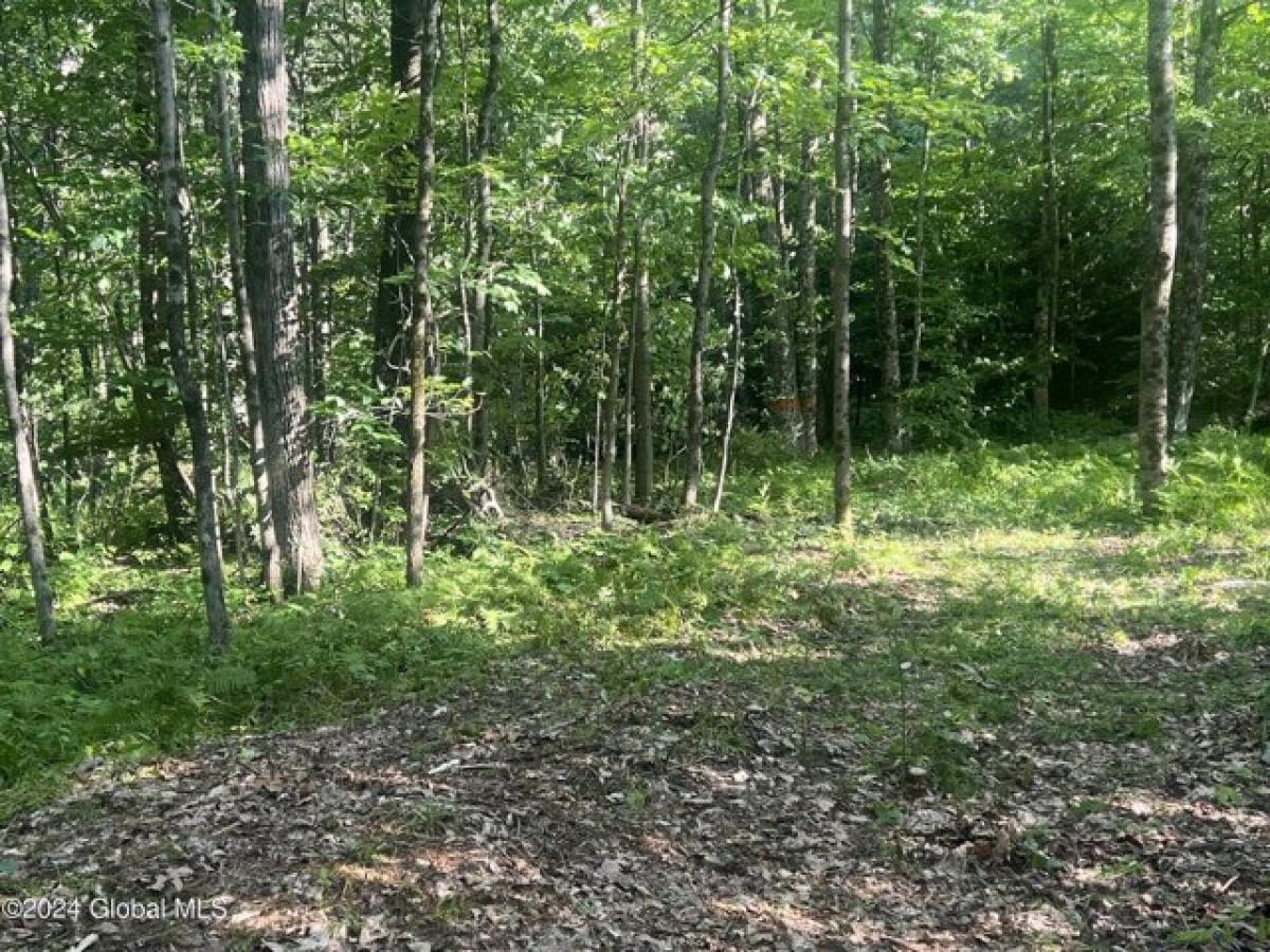 Picture of Residential Land For Sale in Gloversville, New York, United States