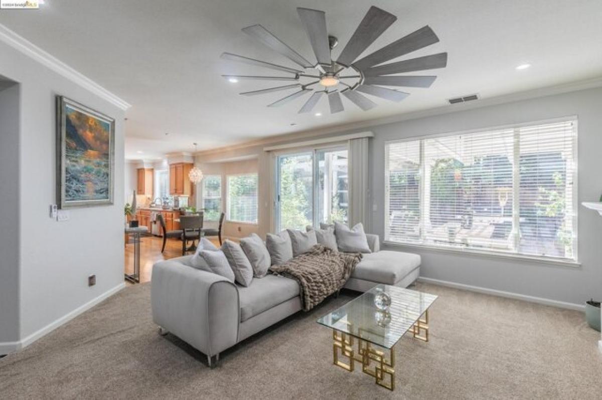 Picture of Home For Rent in Brentwood, California, United States