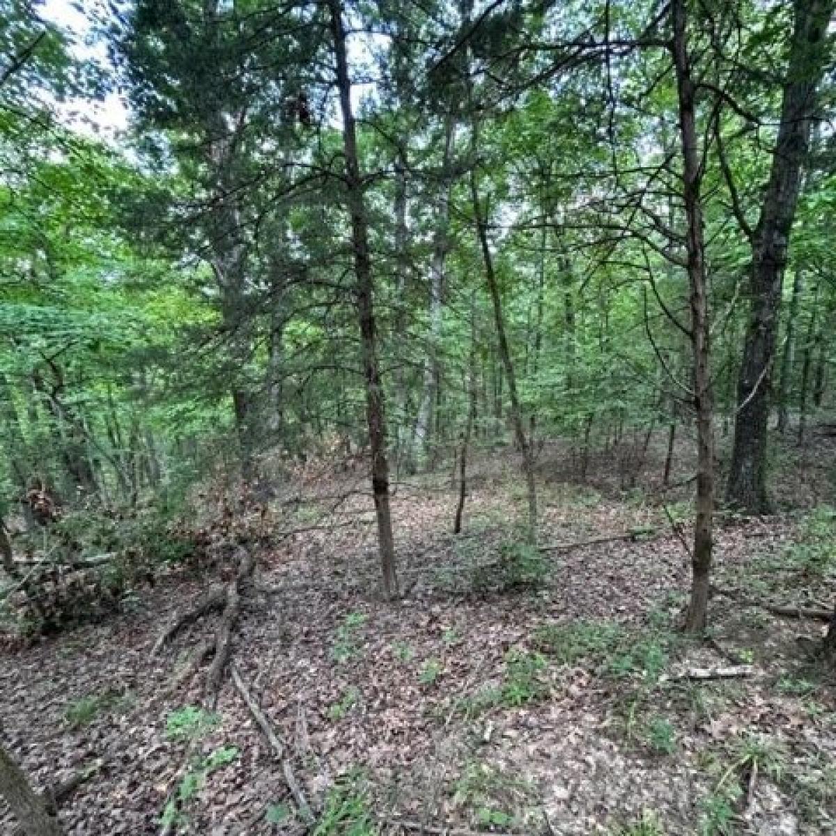 Picture of Residential Land For Sale in Columbia, Missouri, United States