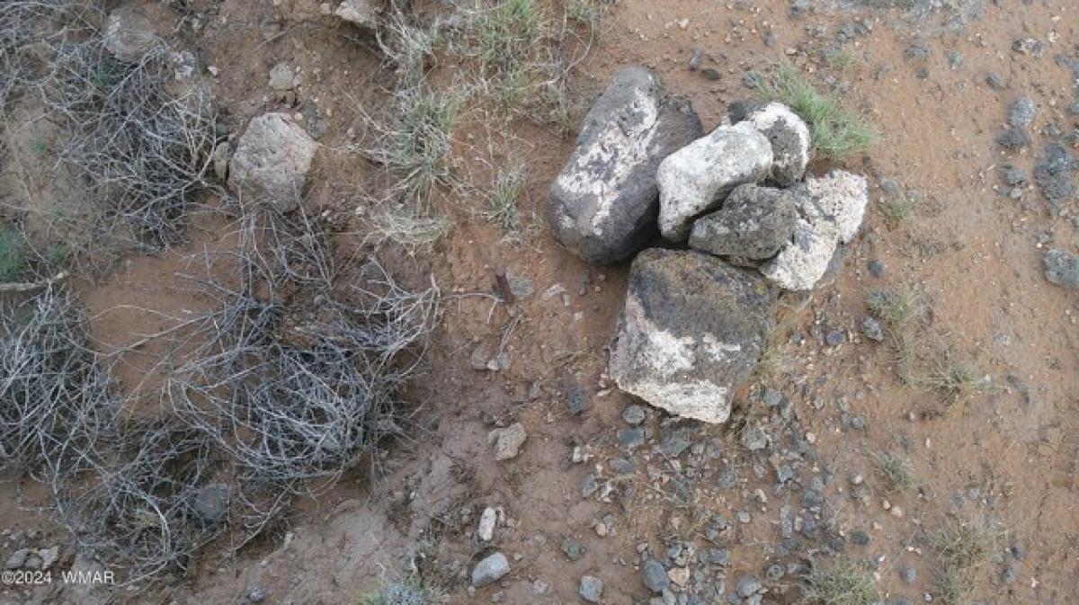 Picture of Residential Land For Sale in Concho, Arizona, United States