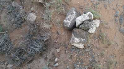 Residential Land For Sale in Concho, Arizona