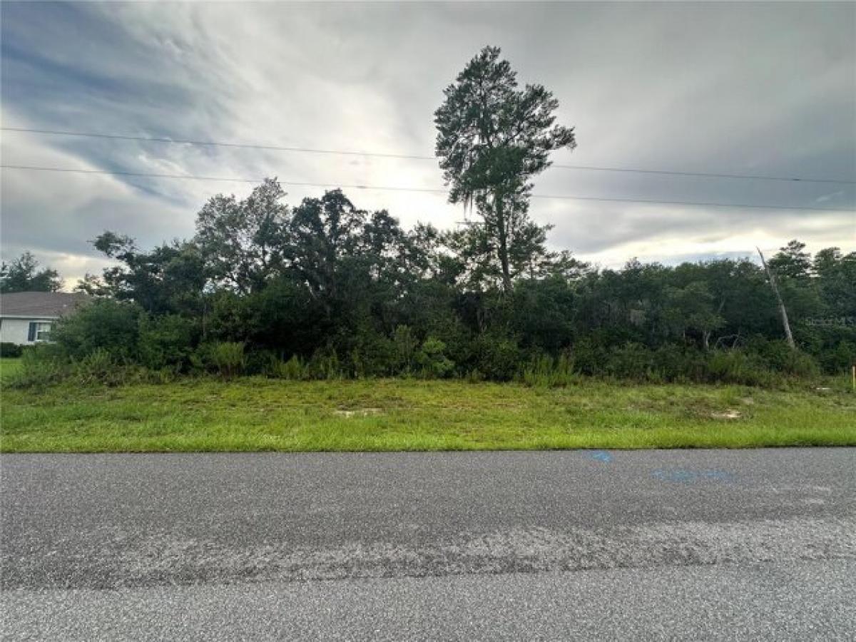 Picture of Residential Land For Sale in Ocala, Florida, United States