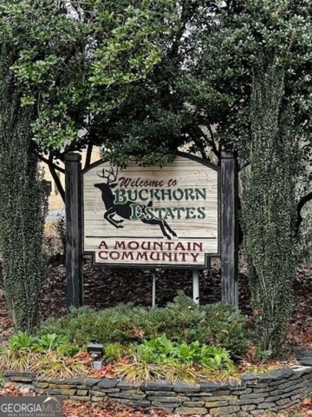 Picture of Residential Land For Sale in Ellijay, Georgia, United States