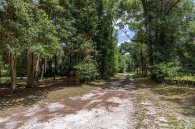 Residential Land For Sale in Micanopy, Florida
